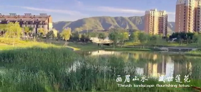 画眉山水 盛世莲花